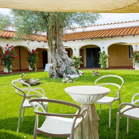 Vila Tenuta Amalthea Sessa Aurunca Exteriér fotografie